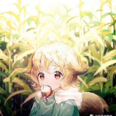 丹东交通事故已致8死